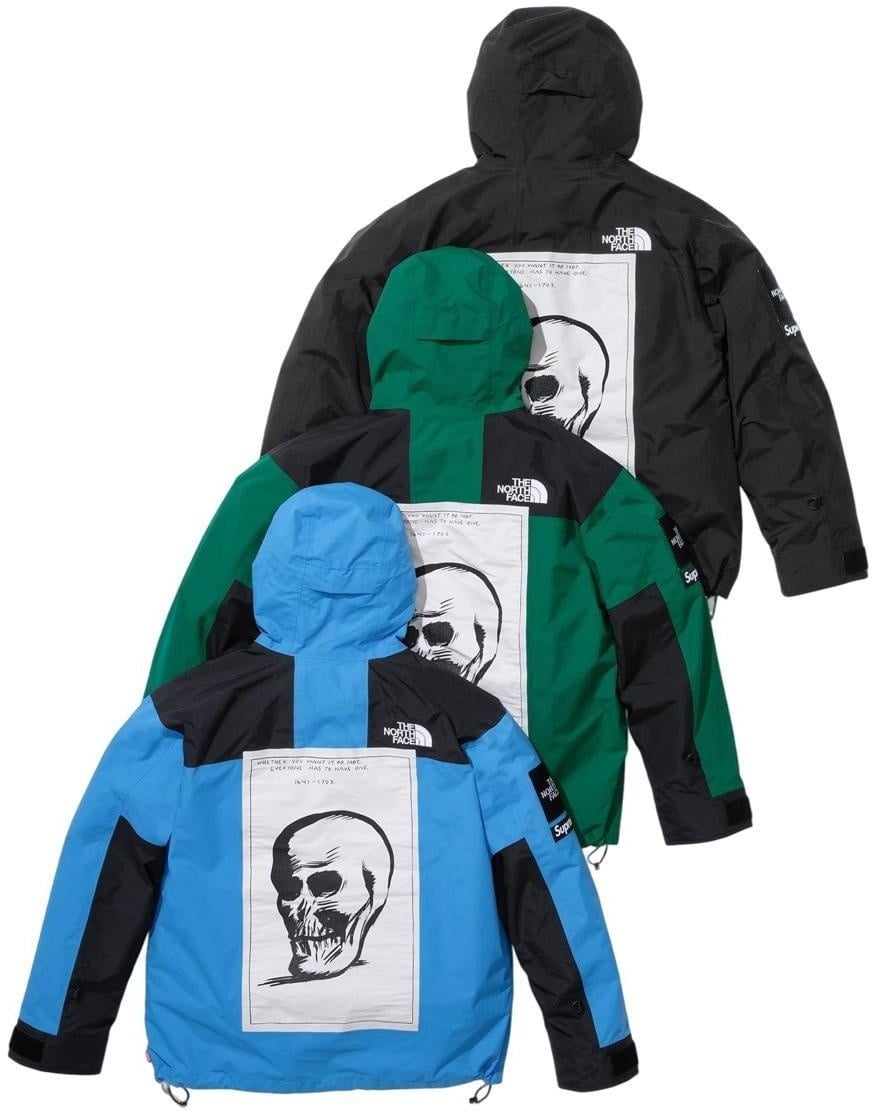 Supreme®/The North Face® Mountain Jacket